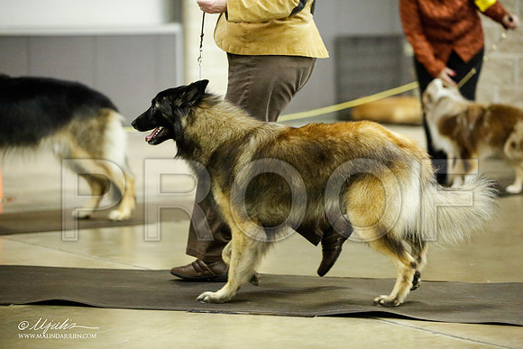_JJ_7057-BeltonJan2015IABCA-HR3