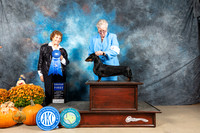 Dachshund Smooth #8 Sun G1 Judge Donnelle Richards