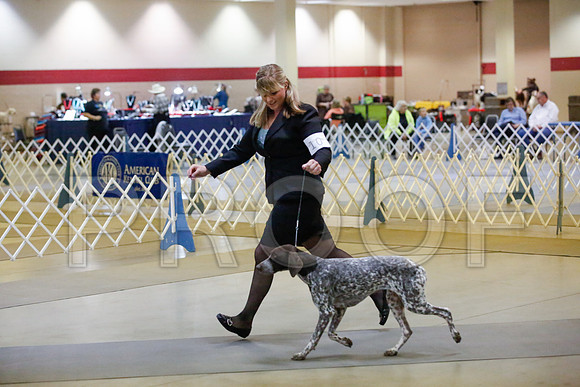 _JJ_6110-AmarilloSept2014-HR3