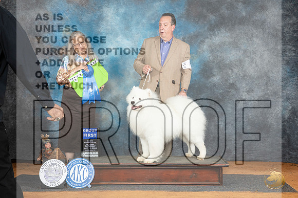 Samoyed #5 Sat G1 Judge Denise Dean__JP_8155_MARSHALL_2024_HR3
