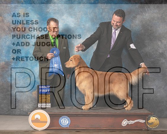 Golden Retriever #44 Thurs G1 Judge Del RichardsMMJ_2693_Mdlnd2022_HR3