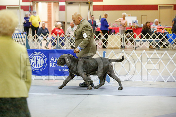 _JJ_6822-AmarilloSept2014-HR3