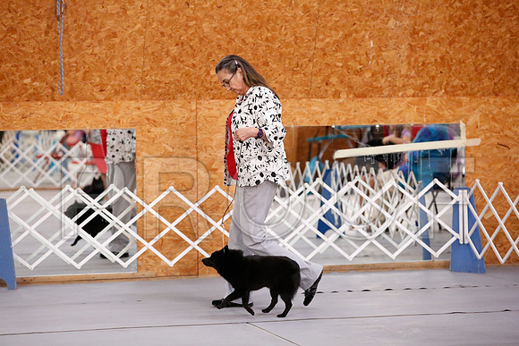 _RH_8508-CarlrolltonSept2014-HR3