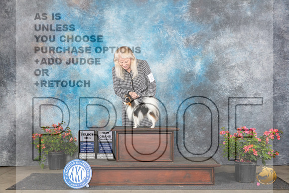 Papillion #21 Sat SDGCH Judge Azalea Alvarez__JP_5000_San Antonio_2024_HR3