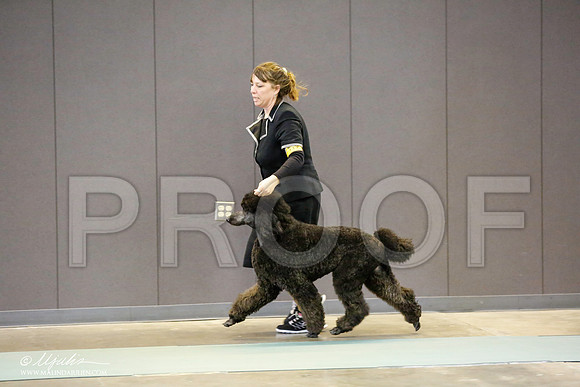 _RH_9647-BeltonJan2015-HR3