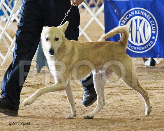 cannan-0880