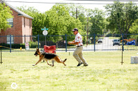 Junior Futurity Bitches Fri Ring