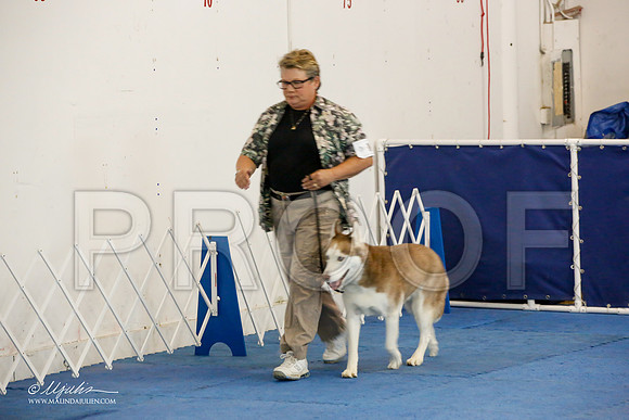 _M3_7465-AddisonHuskyMar2015-HR3