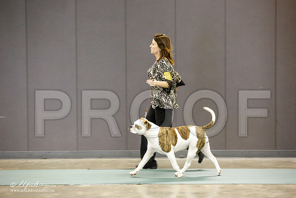 _JN_1529-BeltonJan2015-HR3