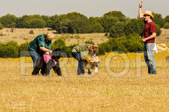 _MJ_4338-AfgBeltonOct2014-HR3