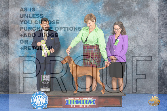 Vizsla #12 Wed PBISweeps Judge Joao Machado__JP_7427_Houston_2024_HR3