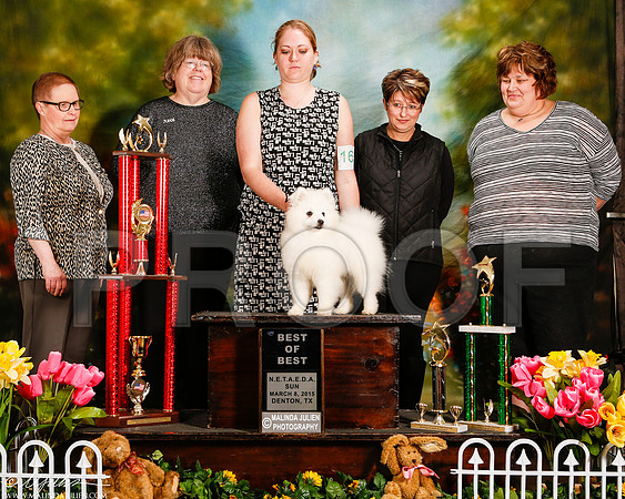 _ST_3916-2-DentonMar2015-HR3