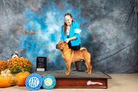 Chinese Shar Pei #5 Sun G3 Judge Donnelle Richards