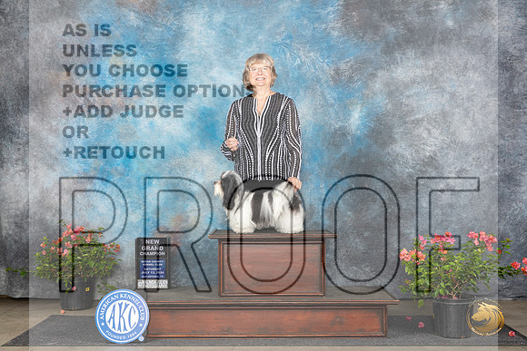 Havanese #6 Sat BOSGCH Judge Christine Martinez__JP_5895_San Antonio_2024_HR3
