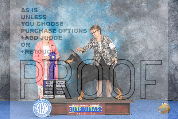 Doberman #40 WED WD NC Judge Nancy Liebes__JP_7307_Houston_2024_HR3
