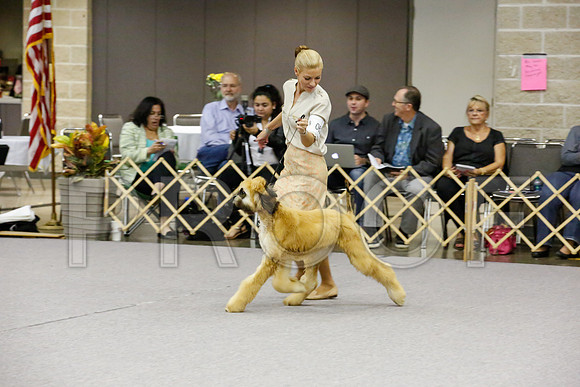 _JJ_9231-AfgBeltonOct2014-HR3