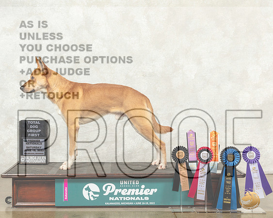 Carolina Dog #1319 Sun__MJ_9588_Premier_2022_HR3