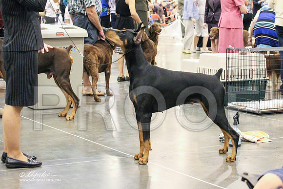 Dobe-0222 PROOF