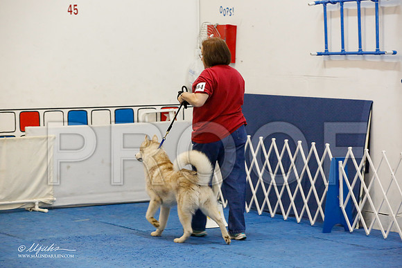 _M3_7626-AddisonHuskyMar2015-HR3