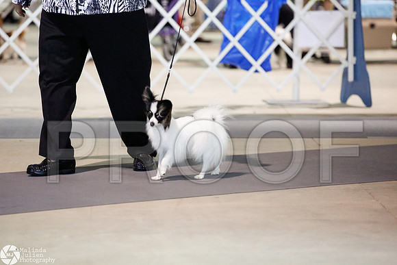 _JJ_3282-SanAntonioJul2014-HR