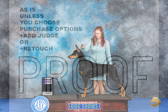 Doberman #28 WED WB Judge Alisa Brotherhood__JP_6701_Houston_2024_HR3