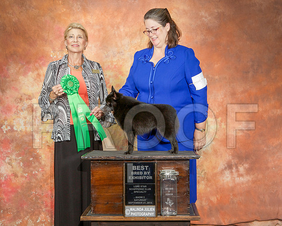 _ST_2536-CarlrolltonSept2014-HR3