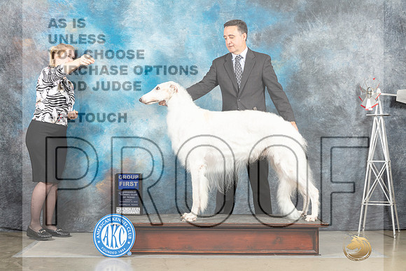 Borzoi #11 Sun G1 Judge Sharon Derrick_MJ_5128_Amarillo_2022_HR3