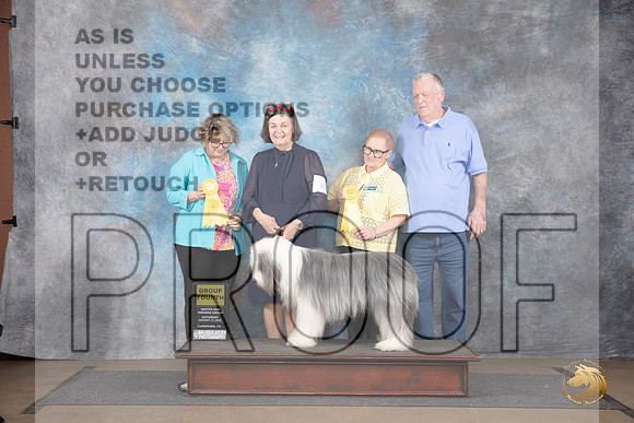 Bearded Collie #307 G4 Sat Judge Brenda and Jennifer Landers__JP_2721_LongviewTX_2024_HR3