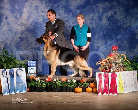 GSD-4887-HstnNov13-HR