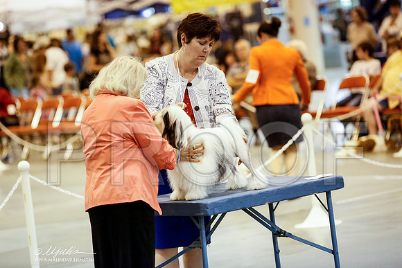 _JN_4887-HstnJul2014-HR3