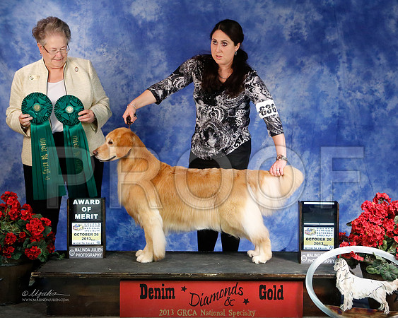 AOMBestVet-5453-WFOct2013-HR