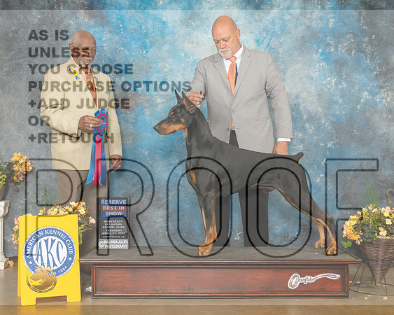 Doberman Pinscher #7 Thur RBIS Judge Eugene Blake-MMJ_9123-NWARK2022-HR3