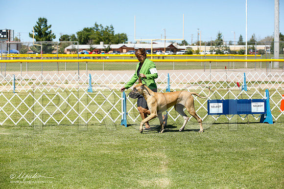 _JN_6433-AlamogordoOct2014-HR3