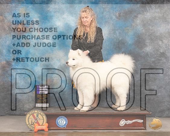 Samoyed #17 Fri WD Judge Del RichardsMMJ_3073_Mdlnd2022_HR3