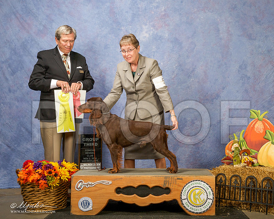 _CL_4661 - Version 2-SanAngelo2014-HR3
