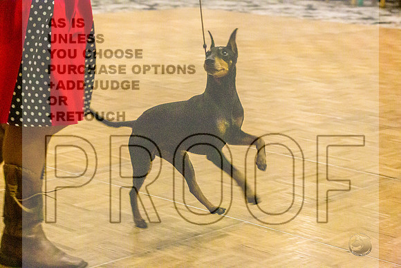 Manchester Terrier MTOY Candids-JJL_2204-Hstn2022_HR3