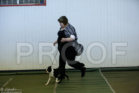 _JJ_2009-DentonMar2015-HR3