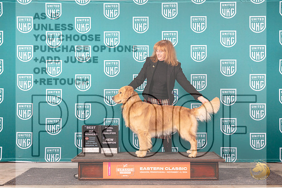 Golden Retriever #198 Sun BOWCHTD Judge Tina Camp__JP_2339_UKCEastern_2024_HR3