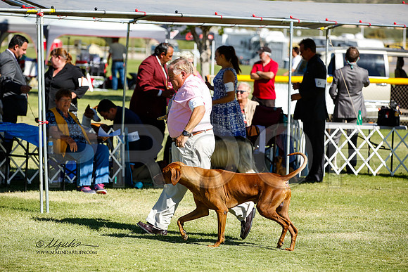 _JN_1505-AlamogordoOct2014-HR3