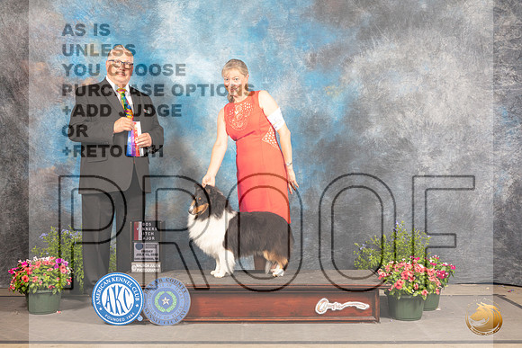 Shetland Sheepdog #20 Fri WBBOS Judge John Booth_MJ_0072_SA_2022_HR3