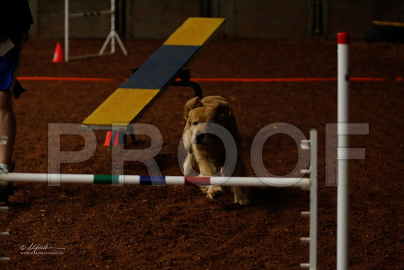 FExc24-0100-WFOct2013-HR