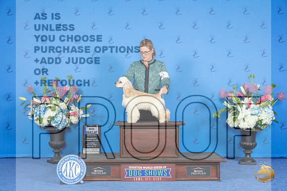 Cocker Spaniel Ascob #7 SAT BOW M Judge Ronald Freeman__JP_0698_Houston_2024_HR3