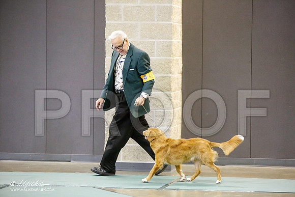 _LH_3106-BeltonJan2015-HR3