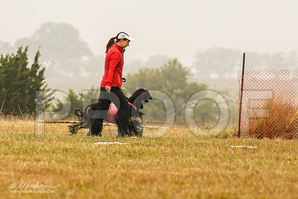 _MJ_3233-AfgBeltonOct2014-HR3