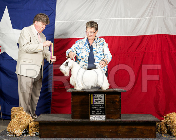 _ST_1510-AmarilloSep2014-HR3