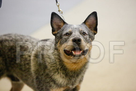 _JN_4741-AmarilloSept2014-HR3