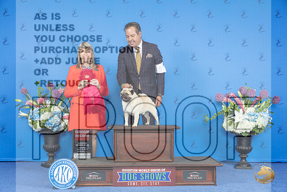 Pug #5 THUR G2 Judge Angela Pickett__JP_8538_Houston_2024_HR3