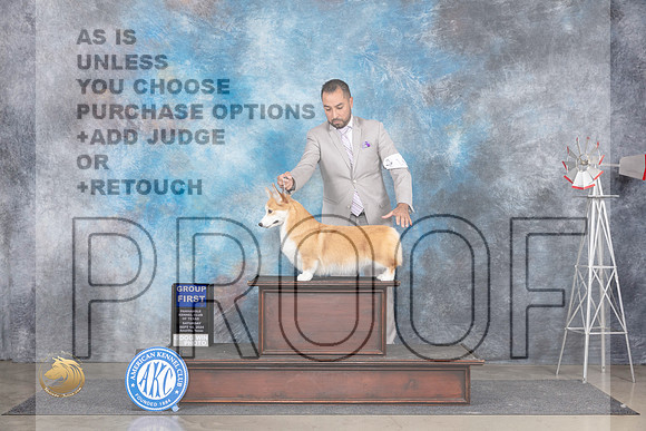 Pembroke Welsh Corgi #16 Sat G1 Judge Pat Trotter__JP_5919_Amarillo_2024_HR3