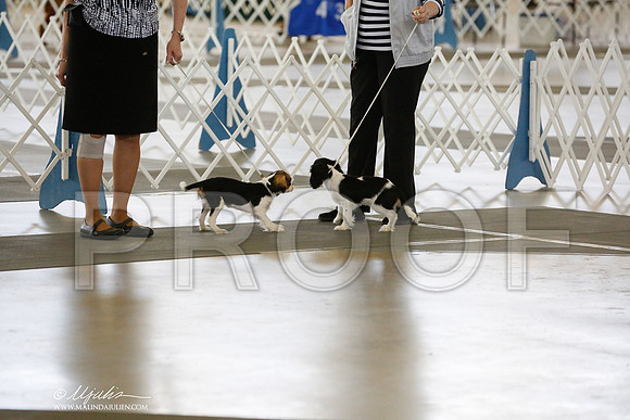 _RH_0593-DallasJul2014-HR3