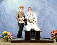 Cocker Spaniel #207 Sat Best in Sweeps SPECIALTY Judge Karen Gordon